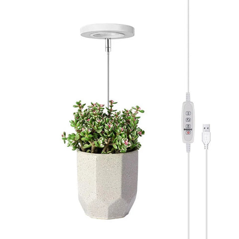 1/2/4pcs Circular plant light with full-spectrum LED 4/8/12/18H timer 5 brightness and 4 heights adjustable