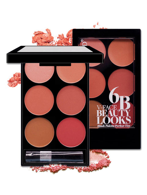 Six-color Blush  Makeup
